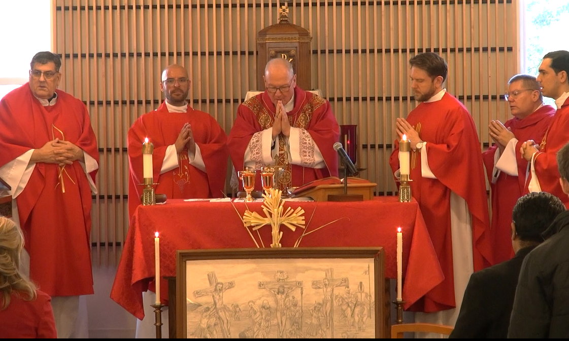 Cardenal Dolan Celebr Misa De Domingo De Ramos En Abraham House