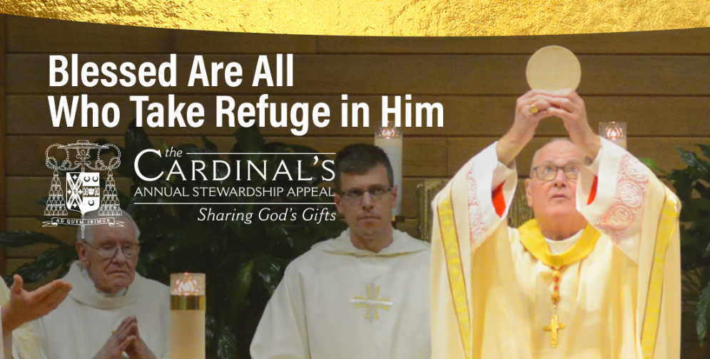 Cardinal’s Annual Stewardship Appeal 2023: Blessed Are All Who Take ...