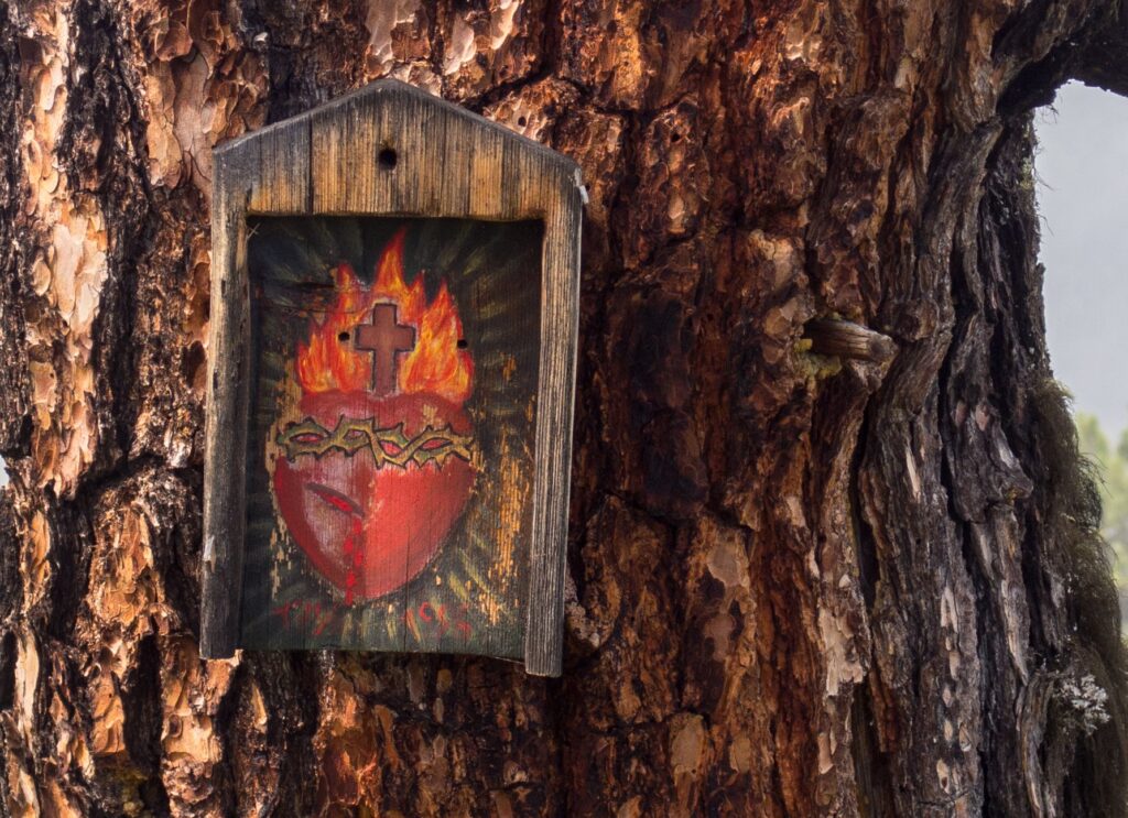 An image of the Sacred Heart of Jesus, enshrined in wood and nailed to a tree, located on Pinus Cembra in the Stubai Alps, between Salfains and Grieskogel, painted 1996.