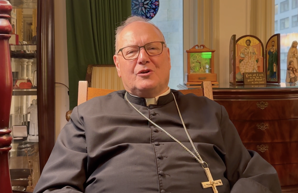 Northern cardinal visual data 7