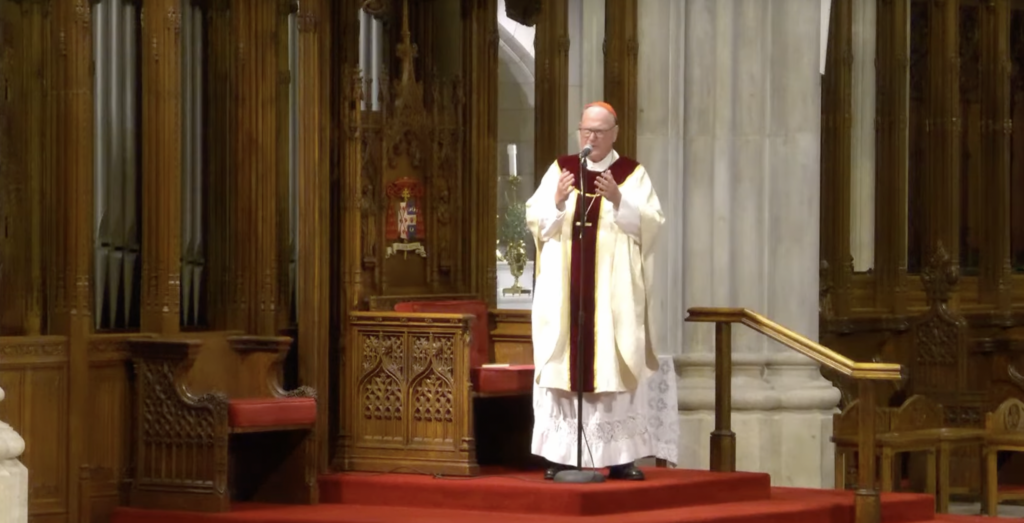 Cardinal Dolan's Homily November 17, 2023 The Good Newsroom