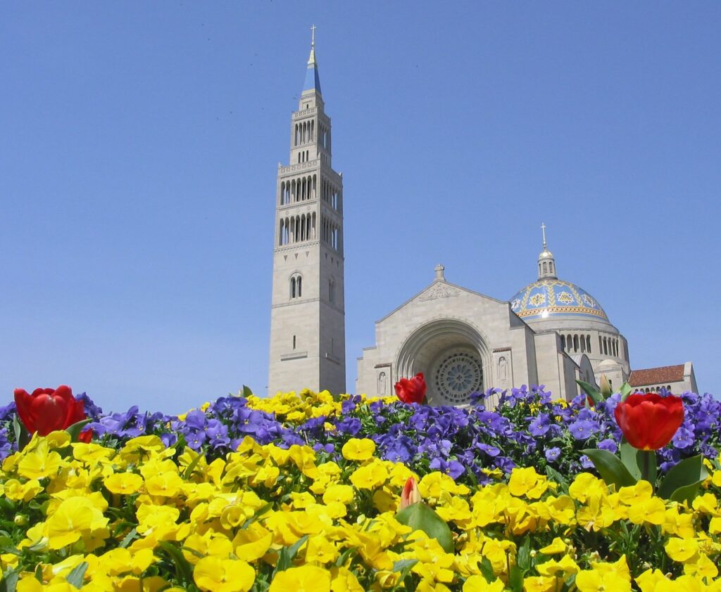 A file photo shows spring flowers blooming outside the Basilica of the National Shrine of the Immaculate Conception in Washington.