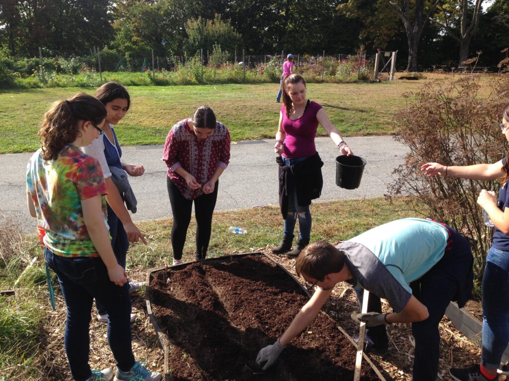 Mount Saint Mary College students volunteer at The Center at Mariandale in Ossining.