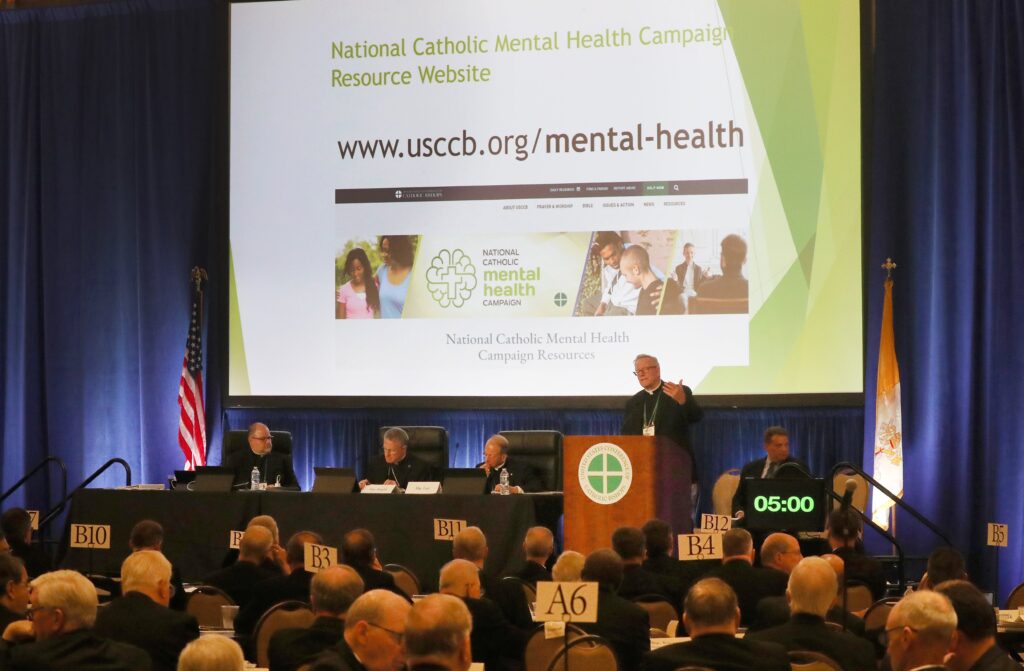 Bishop Robert E. Barron of Winona-Rochester, Minnesota, speaks on June 13, 2024, at the U.S. Conference of Catholic Bishops' Spring Plenary Assembly in Louisville, Kentucky.