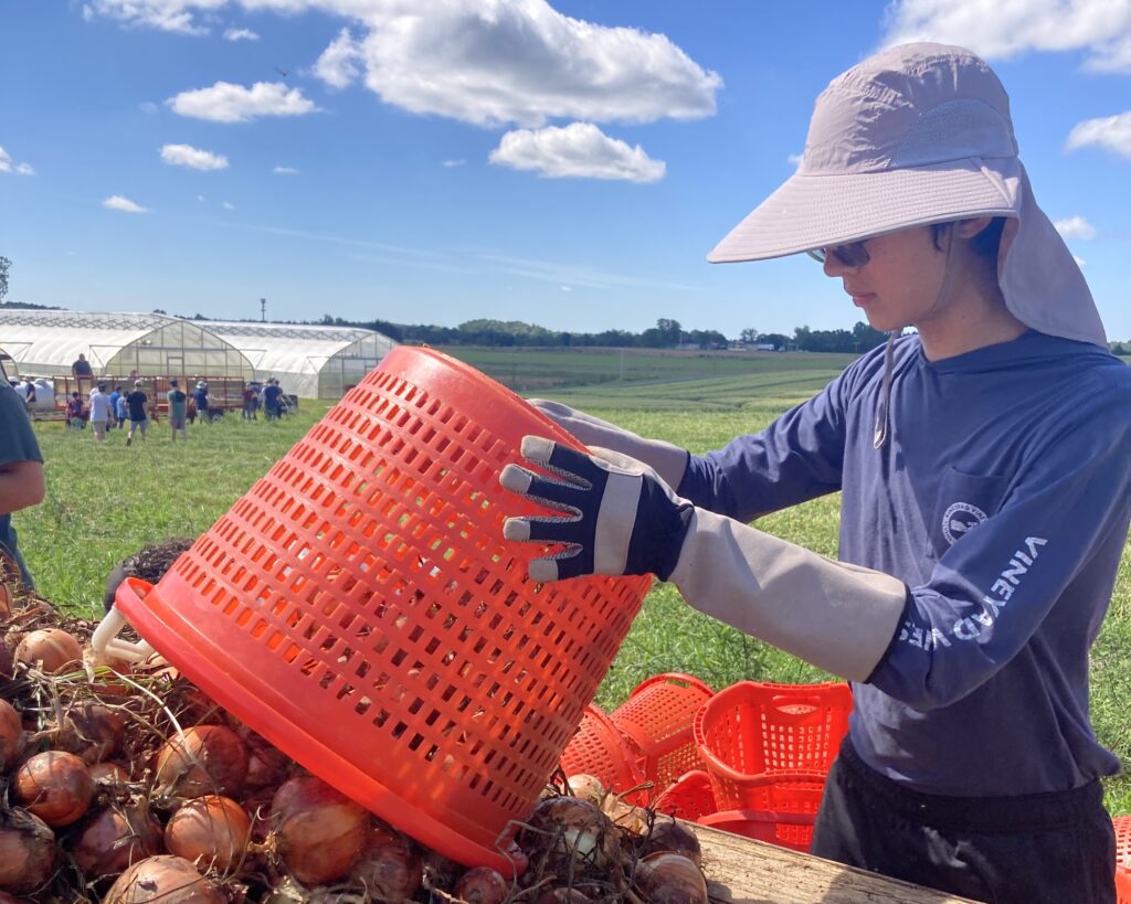 Un estudiante de segundo año en ascenso en el proyecto de servicio de verano de 2023 en First Fruits Farm en Freeland, Maryland.