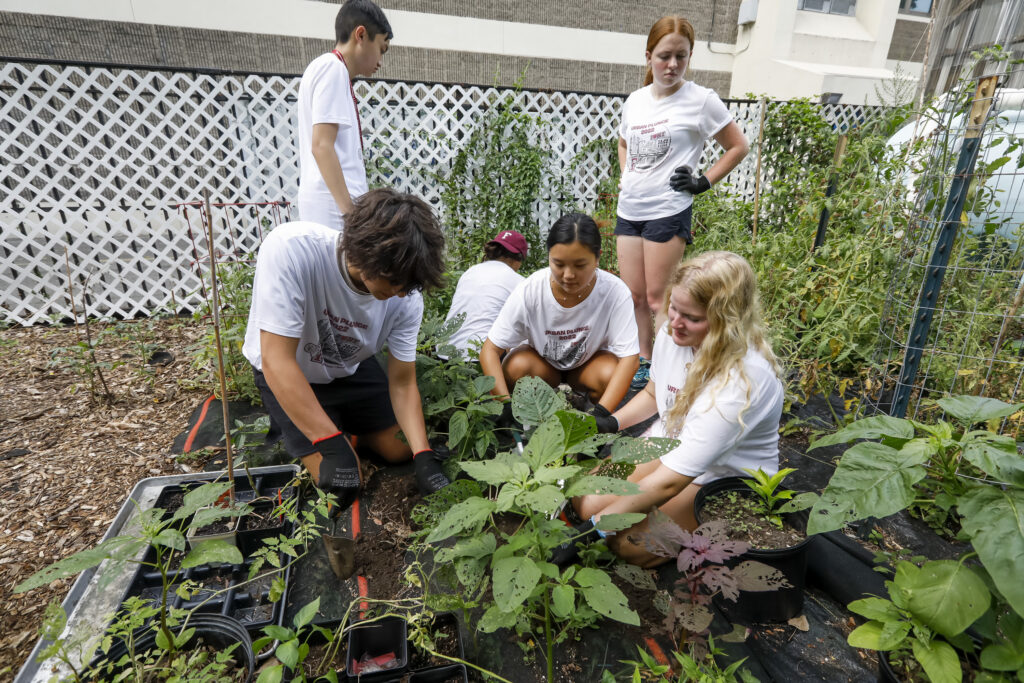 Students participate in the Urban Plunge program at Fordham University's Ross Hill Campus in the Bronx, August 26, 2022.