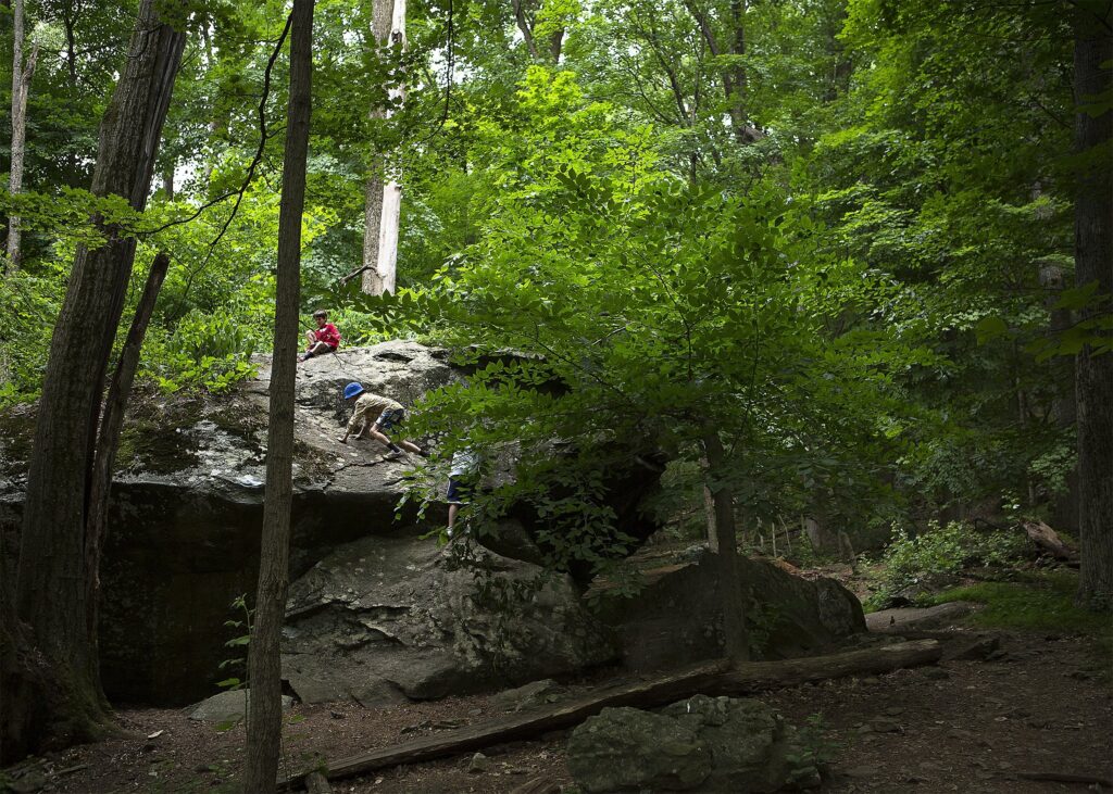 Children explore a trail at Cunningham Falls State Park in Thurmont, Maryland, June 17, 2020.