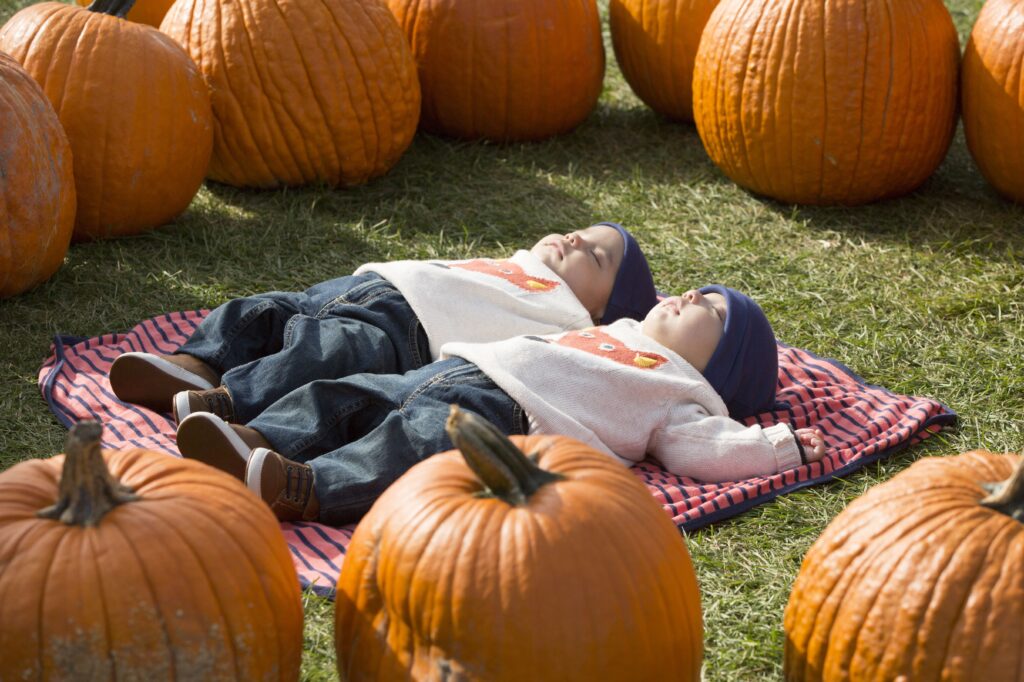 Twins sleep amid pumpkins on October 16, 2016, on a farm in Melville.