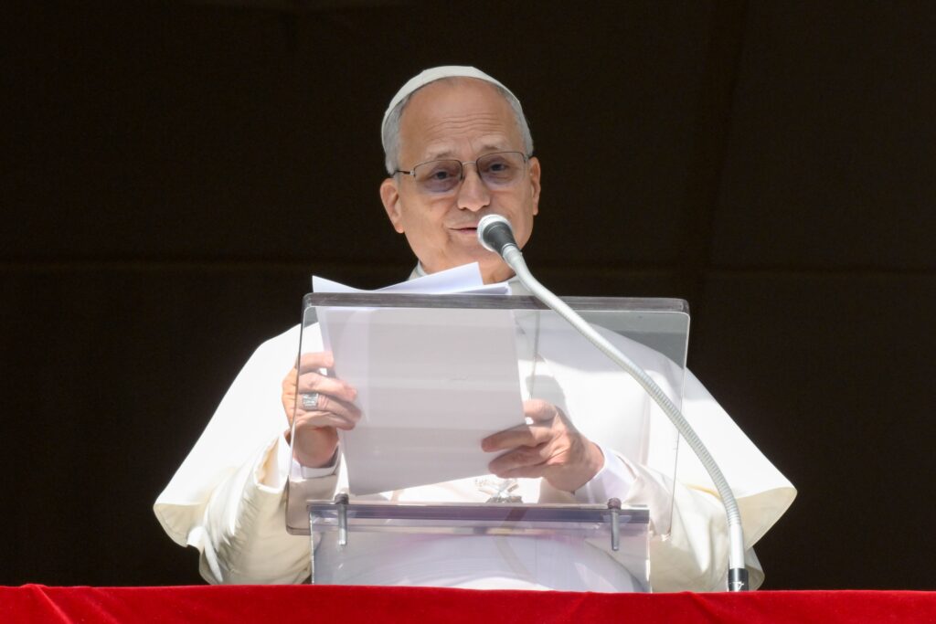 El Papa León XIV se dirige a los peregrinos y visitantes reunidos en la Plaza de San Pedro del Vaticano para rezar el Ángelus, el 25 de enero de 2026.