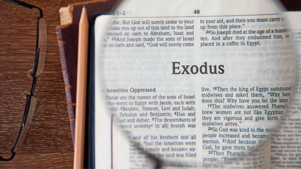 El padre William Arias, vicario de pastoral de la Arquidiócesis de Santiago de la República Dominicana, comparte una reflexión sobre el libro del Éxodo, donde se relata la acción de un Dios que libera, guía, forma y establece una alianza con su pueblo.