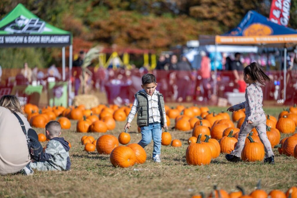 Children walk through a pumpkin patch at the 2025 Catholic Charities of Staten Island Fall Festival, held in late October 2025.