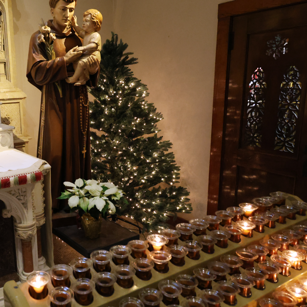 St. Joseph's shrine at the side of the cCathedral has a Christmas tree set up along with many of the other shrines.